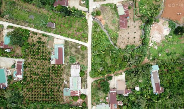 Chính chủ cần bán gấp vườn măng cụt gần 1 sào đường 1/5 thành phố Bảo Lộc có sẵn 200m2 thổ cư, SHR