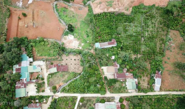 Chính chủ cần bán gấp vườn măng cụt gần 1 sào đường 1/5 thành phố Bảo Lộc có sẵn 200m2 thổ cư, SHR