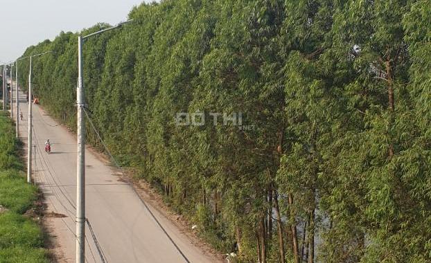 Bán nhanh lô Quang Châu dãy A1 hàng cây nhìn sang khu đô thị phía nam 19.8ha Quang Châu