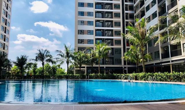 Bán CH Vinhomes Ocean Park, 43m2 tòa S1.02, giá siêu rẻ, Hỗ trợ lãi suất 0% lên đến gần 3 năm