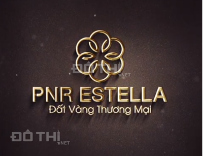 Dự án khu đô thị PNR Estella - cơ hội sở hữu nền đất định cư hay thương mại ngay tại KCN Sông Mây