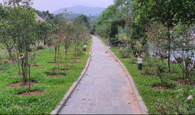 Siêu phẩm Homefarm 2.2ha chỉ việc xách vali về ở ở Lương Sơn. LH 0917.366.060/0948.035.862