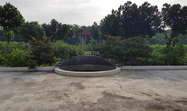 Bán nhà mái thái và trang trại nghỉ dưỡng tại Yên Bài, Ba Vì, giá tốt