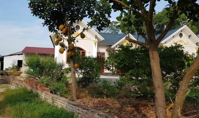 Bán nhà mái thái và trang trại nghỉ dưỡng tại Yên Bài, Ba Vì, giá tốt