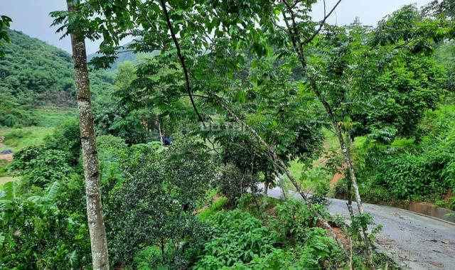 24ha làm sinh thái có 1 - 0 - 2 ở Lương Sơn, Hòa Bình, giá chỉ ~ 500tr/ha. LH: 0983337986
