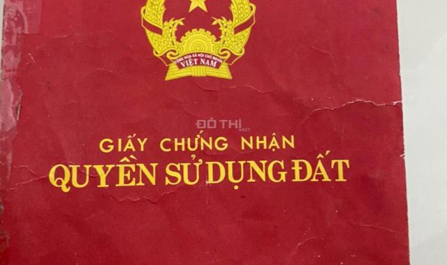 Chính chủ cần bán 8 sào đất có sổ đỏ tại Xã Chí Công, Tuy Phong, Bình Thuận