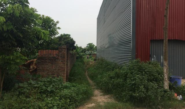 Bán lô đất  50m2 / 95m2 vườn tại thôn An Hạ, An Thượng, Hoài Đức - Hà Nội