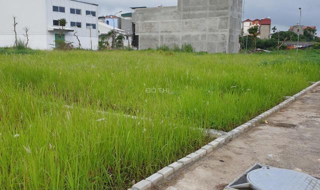 Bán đất nền phân lô diện tích 85m2 khu tái định cư Thượng Thanh, Long Biên, Hà Nội