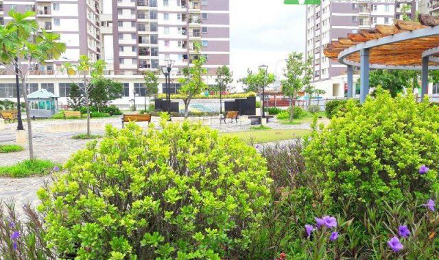 Giá sốc bán chung cư Vision Bình Tân giá rẻ căn góc bao đẹp đến là thích