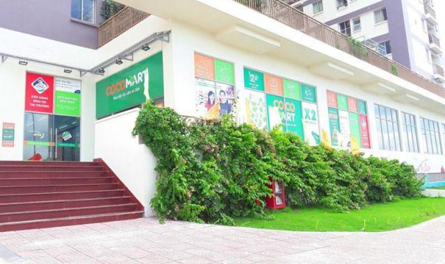 Giá sốc bán chung cư Vision Bình Tân giá rẻ căn góc bao đẹp đến là thích