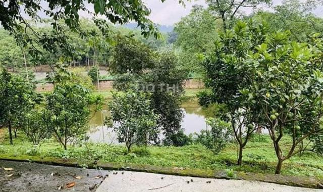 Vip & rẻ nhất Lương Sơn, khuôn viên nhà sàn ao cá 6100m2 ở Lương Sơn, Hòa Bình. Giá thời Covid