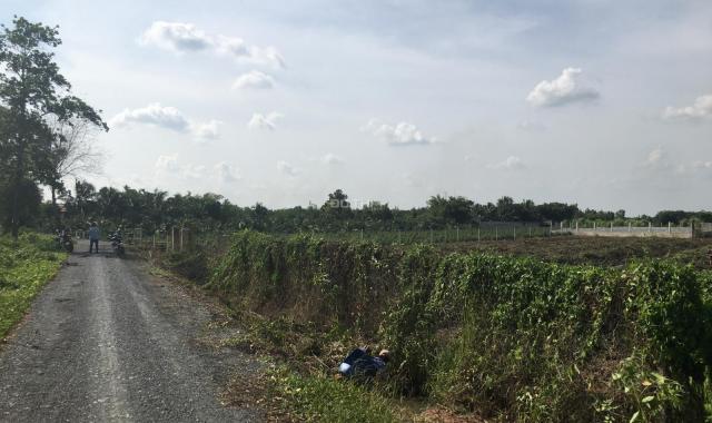 Bán đất tại đường Vườn Thơm, Xã Bình Lợi, Bình Chánh, Hồ Chí Minh diện tích 4500m2, giá 13.5 tỷ