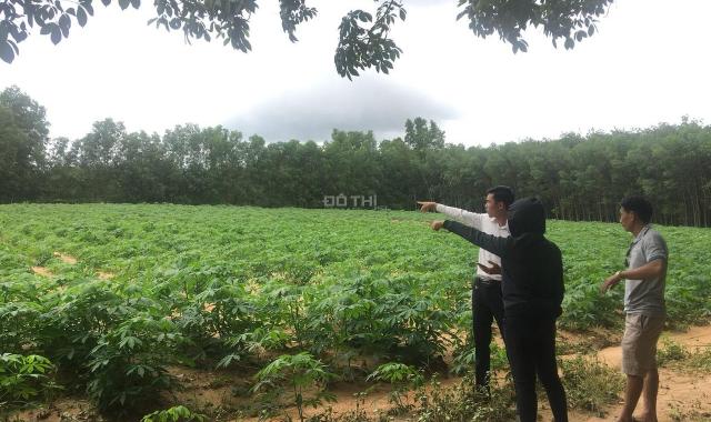 Chính chủ bán 1000m2 đất ngay chợ Phước Bình, H. Long Thành, cạnh KCN, sổ riêng, 0772907533