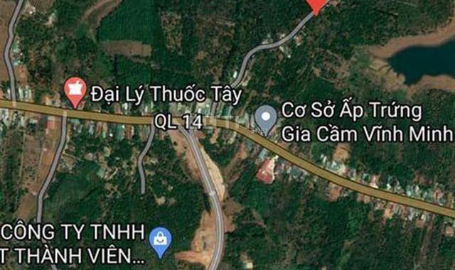 Chính chủ cần bán 8,5 sào đất rẫy thôn 5 Xã Nhân Cơ, Huyện Đắk R' Lấp