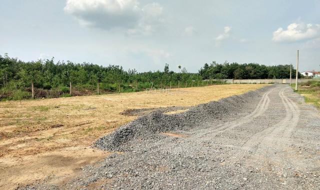 Bán lô đất 2 mặt tiền đường Tam Phước, Biên Hòa, gần khu công nghiệp Giang Điền