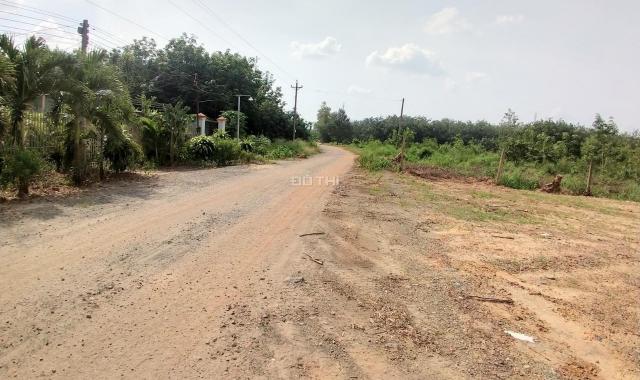 Bán lô đất 2 mặt tiền đường Tam Phước, Biên Hòa, gần khu công nghiệp Giang Điền