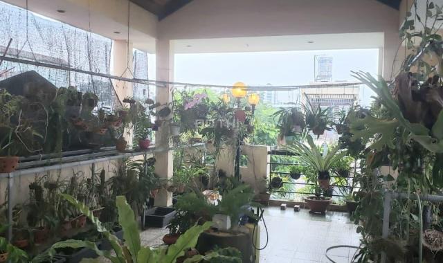 Bán nhà biệt thự, liền kề tại đường Bà Hạt, Phường 8, Quận 10, Hồ Chí Minh DT 101m2 giá 25 tỷ