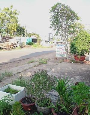 Cần tiền bán gấp 193m2 nhà đất mặt tiền Lê Hồng Phong, thị trấn Ngãi Giao, Châu Đức