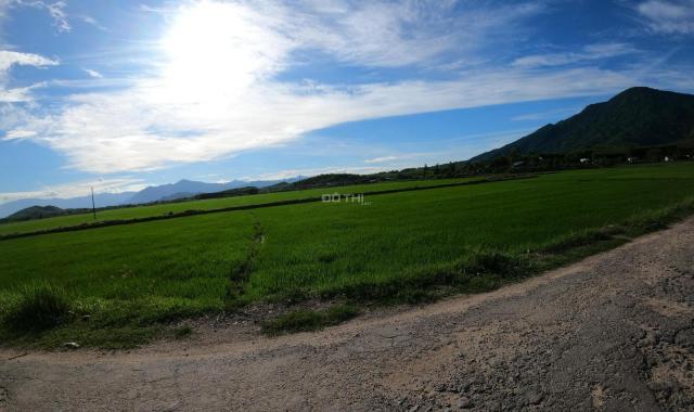 Chính chủ cần bán 1700m2 đất TCLN Diên Lâm, giá 185 triệu