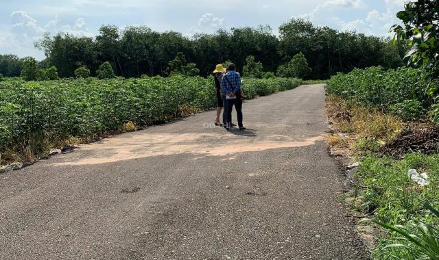 Chính chủ bán lô đất sào (quy hoạch màu hồng) xã Phước Bình, gần sân bay Long Thành 1,55tr/m2