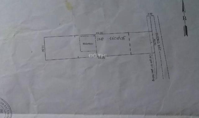 Đất trống 515m2 (10x50m), đường Đăng Văn Mây, Tân Đông Hiệp, Tp Dĩ An