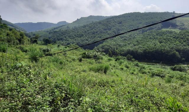 Cần bán 2.2ha đất rừng sản xuất view tuyệt đỉnh tại Kỳ Sơn, Hòa Bình