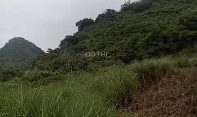 Bán đất tại xã Kỳ Phú, huyện Nho Quan, Ninh Bình
