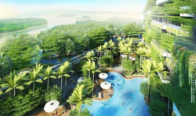 Bán căn hộ biệt thự trên cao Forest In The Sky Flamingo Đại Lải Resort, DT: 74m2 - giá 2,95 tỷ