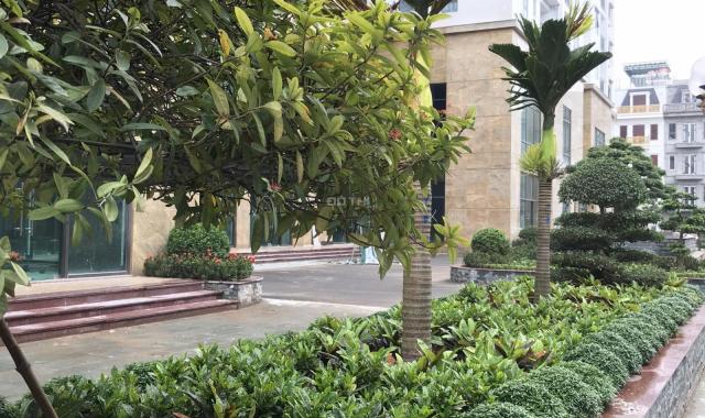 Suất ngoại giao căn 2PN và 3PN giá tốt nhất dự án HC Golden City, QT khủng tới 220tr, free 2 năm DV