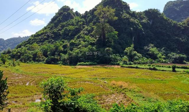Bán đất Định Sơn, Kim Bôi, diện tích 1600m2, giá chỉ 600 triệu. LH 0961.266.229