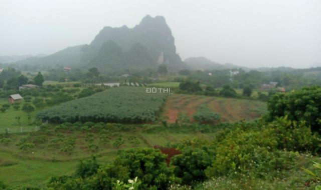 Bán đất phù hợp làm trang trại nghỉ dưỡng siêu đẹp Kim Bôi, Hòa Bình diện tích 18423m2