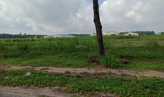 Kẹt tiền cần bán gấp lô đất nằm ngay đường ĐT 750, Phú Giáo, SHR