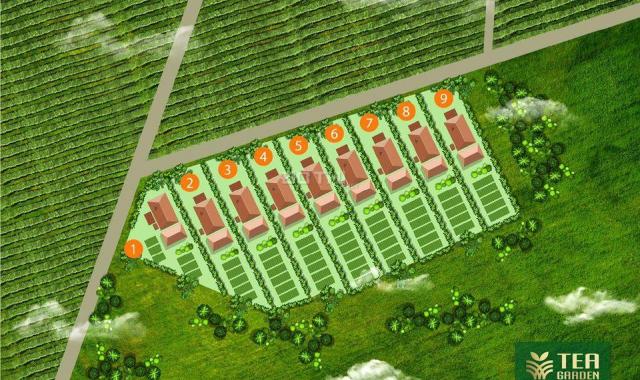 Vstar Land - tea garden - farm garden - green file - sản phẩm đất đầu tư - nghỉ dưỡng - ven hồ