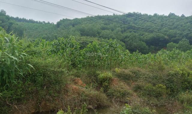 Cần bán nhanh lô đất bám trục đường QL21B tại Kim Bôi, Hòa Bình diện tích 2.7ha