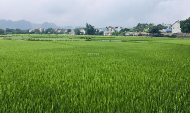 Bán gấp lô đất thổ cư giá rẻ huyện Lương Sơn