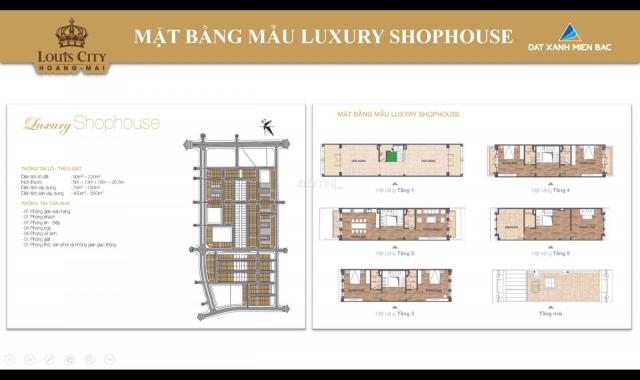 Liền kề, shophouse, biệt thự lâu đài phố từ 80tr/m2 Louis City Hoàng Mai, LH: 0986879946