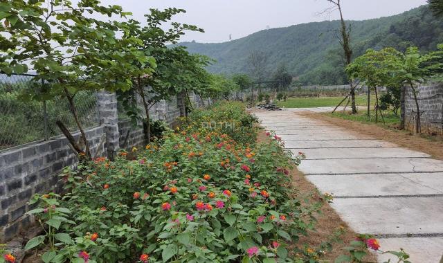 Bán gấp khuôn viên nghỉ dưỡng đẹp tại Lương Sơn, Hoà Bình