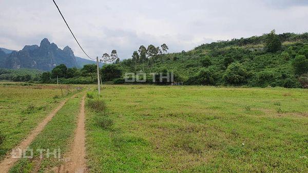 Chính chủ bán đất trang trại gia súc, gia cầm rộng 1.5ha Liên Sơn, Lương Sơn, Hòa Bình