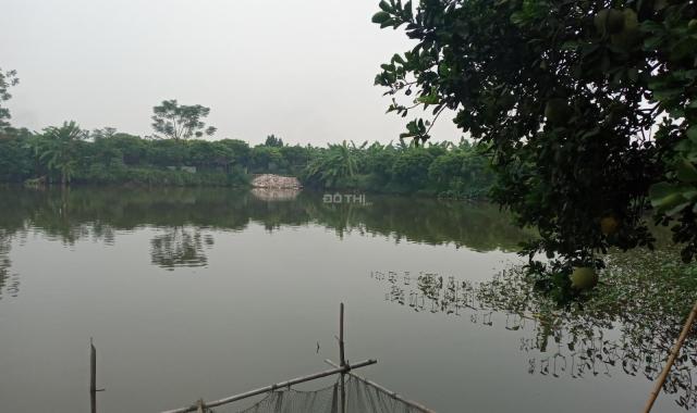 Khuôn viên nhà vườn 5000m2 ở Vạn Phúc, Thanh Trì giá chỉ hơn 1tr/m2. LH 0917.366.060/0948.035.862