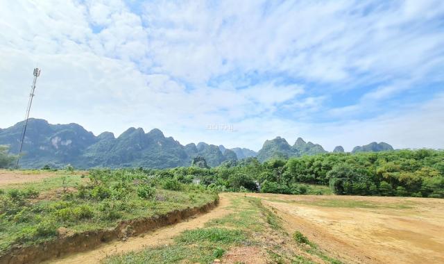 Cơ hội sở hữu ngay 17.226m2 có cả đất rừng và đất thổ cư tại Lương Sơn, Hòa Bình