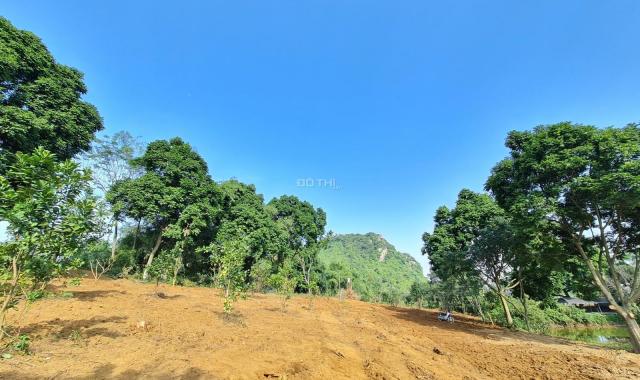 Bán gấp 4.784m2 đất thổ cư view tuyệt đỉnh tại Lương Sơn, Hòa Bình