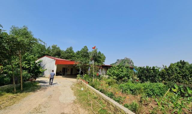 Chỉ 2.8 tỷ sở hữu ngay 1.4ha đất làm trang trại nghỉ dưỡng tuyệt đẹp tại Lạc Thủy, Hòa Bình