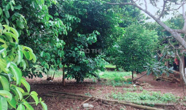 Bán đất giá rẻ 260 triệu/sào tại xã Hàng Gòn, TP Long Khánh sổ hồng riêng