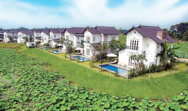 Đầu tư bất động sản sinh lời cao, Vườn Vua Thanh Thủy, Phú Thọ