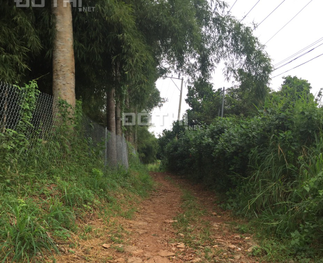 Bán 16 sào đất + vườn Tầm Vông tại xã Hàng Gòn TP Long Khánh giá chỉ 310tr/sào sổ hồng riêng