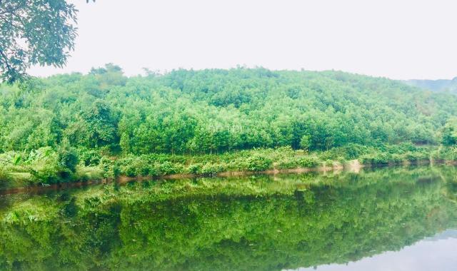 Cần bán gấp 1,1 ha đất bám hồ Kim Bôi quá đẹp, gần đường QL, khu du lịch giá đầu tư