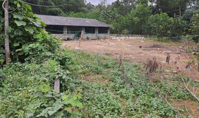 Cần bán gấp 2.552m2 đất thổ cư giá siêu rẻ tại Lương Sơn, Hòa Bình