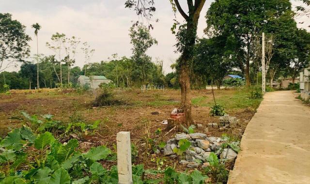 Chính chủ cần bán 5.488m2 đất thổ cư rẻ đẹp tại Lương Sơn, Hòa Bình