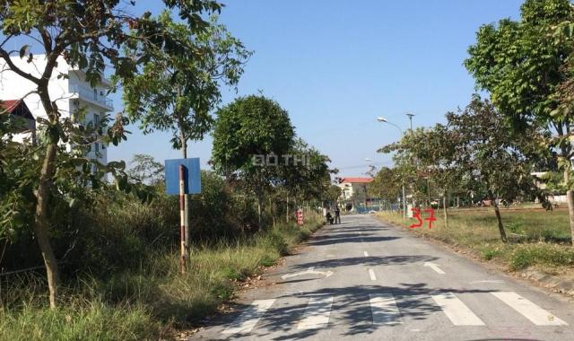 Bán đất đấu giá tái định cư Bắc Hạ Quang Tiến, Sóc Sơn, gần sân bay Nội Bài. LH 0965473835