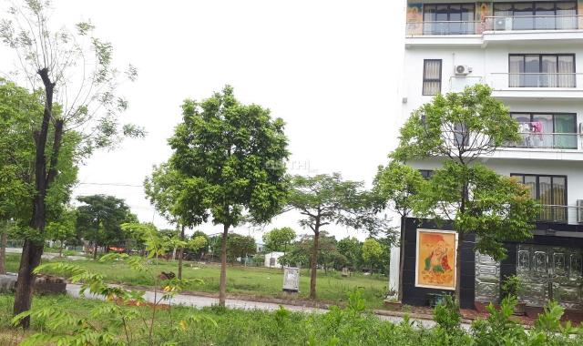 Bán đất đấu giá tái định cư Bắc Hạ Quang Tiến, Sóc Sơn, gần sân bay Nội Bài. LH 0965473835